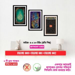 ৩ পিস ফ্রেম ০০৮+০০১+০০২